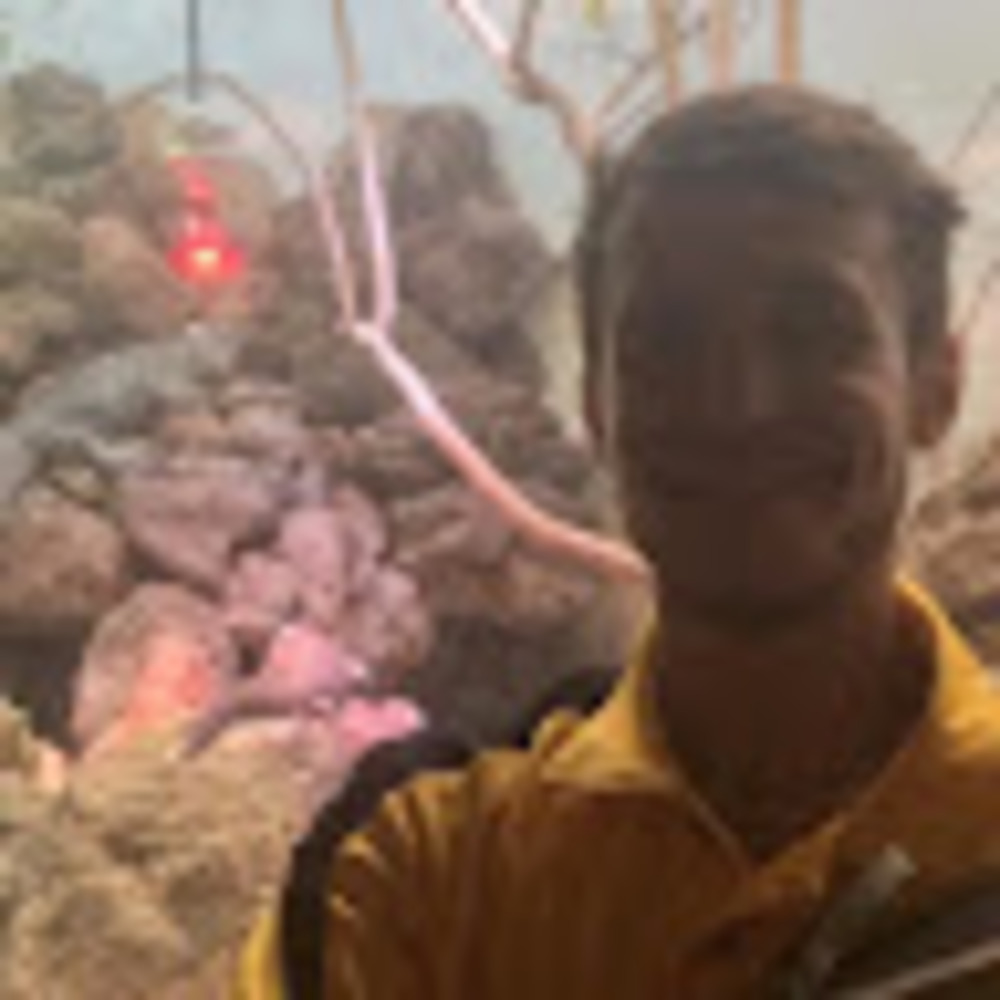 Meet your Posher, Kaan